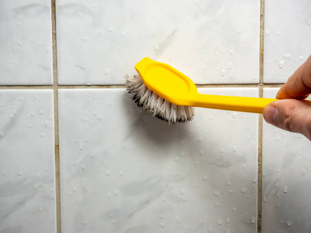 Best Attic Mold Removal  in Prairieville, LA