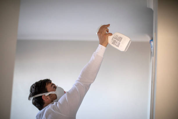 Best Certified Mold Removal  in Prairieville, LA