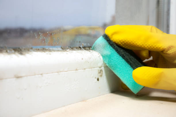 Best Crawl Space Mold Removal  in Prairieville, LA