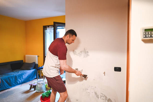 Best Affordable Mold Removal  in Prairieville, LA