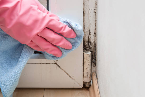 Water Damage Restoration in Prairieville, LA